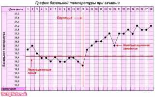 Как определить беременность на ранних сроках. – 5 методик