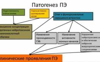 Чем опасна печеночная энцефалопатия, методы лечения и профилактика