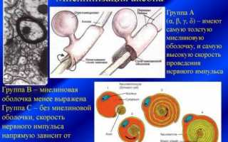 Демиелинизирующее заболевание головного мозга и ЦНС: причины развития и прогноз