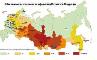 Признаки, лечение и последствия заболевания клещевым энцефалитом