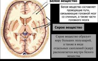 Почему невозможно вылечить лейкоэнцефалопатию головного мозга: особенности течения и причин заболевания