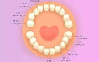 Прорезывание зубов у детей: симптомы, признаки, сроки, схема