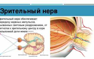 В чем сложности диагностики и лечения болезни Девика — опасной демиелинизирующей патологии