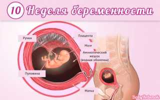 10 неделя беременности: фото, животик, УЗИ, ощущения