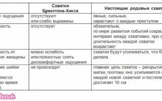 Тренировочные схватки или ложные схватки. Когда начинаются?