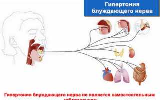 Диагностика и лечение блуждающего нерва