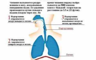 Что предпринять когда слезятся глаза, беспокоит насморк и чихание