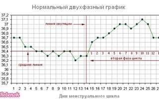 Базальная температура при беременности на ранних сроках