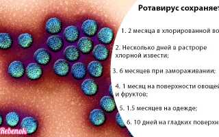 Ротавирус у детей и взрослых: лечение, симптомы, причины