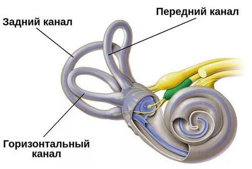 ДППГ - причины