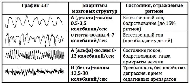 График ЭЭГ