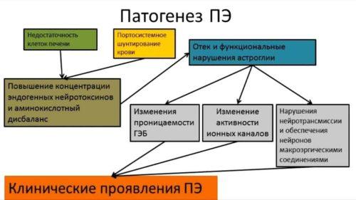 Патогенез ПЭ