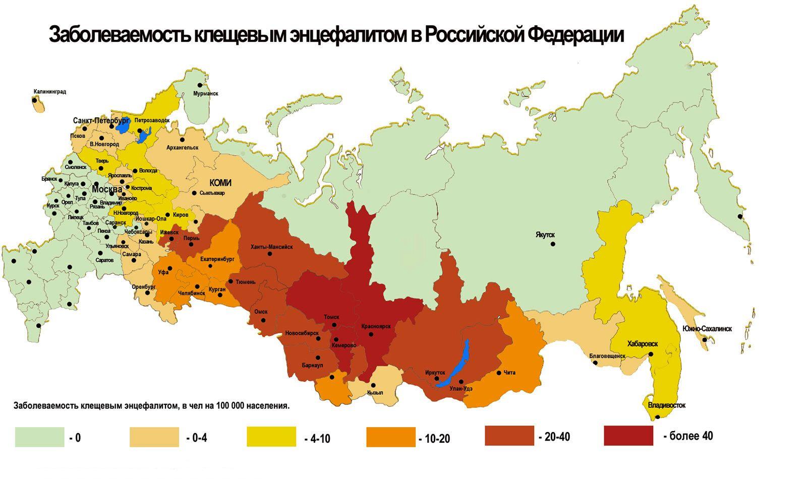 Статистика заболеваемости