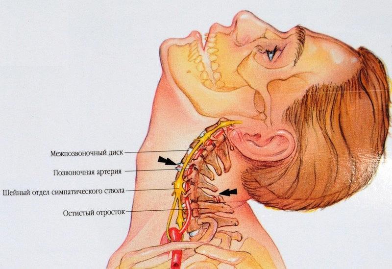 Упражнения для шеи